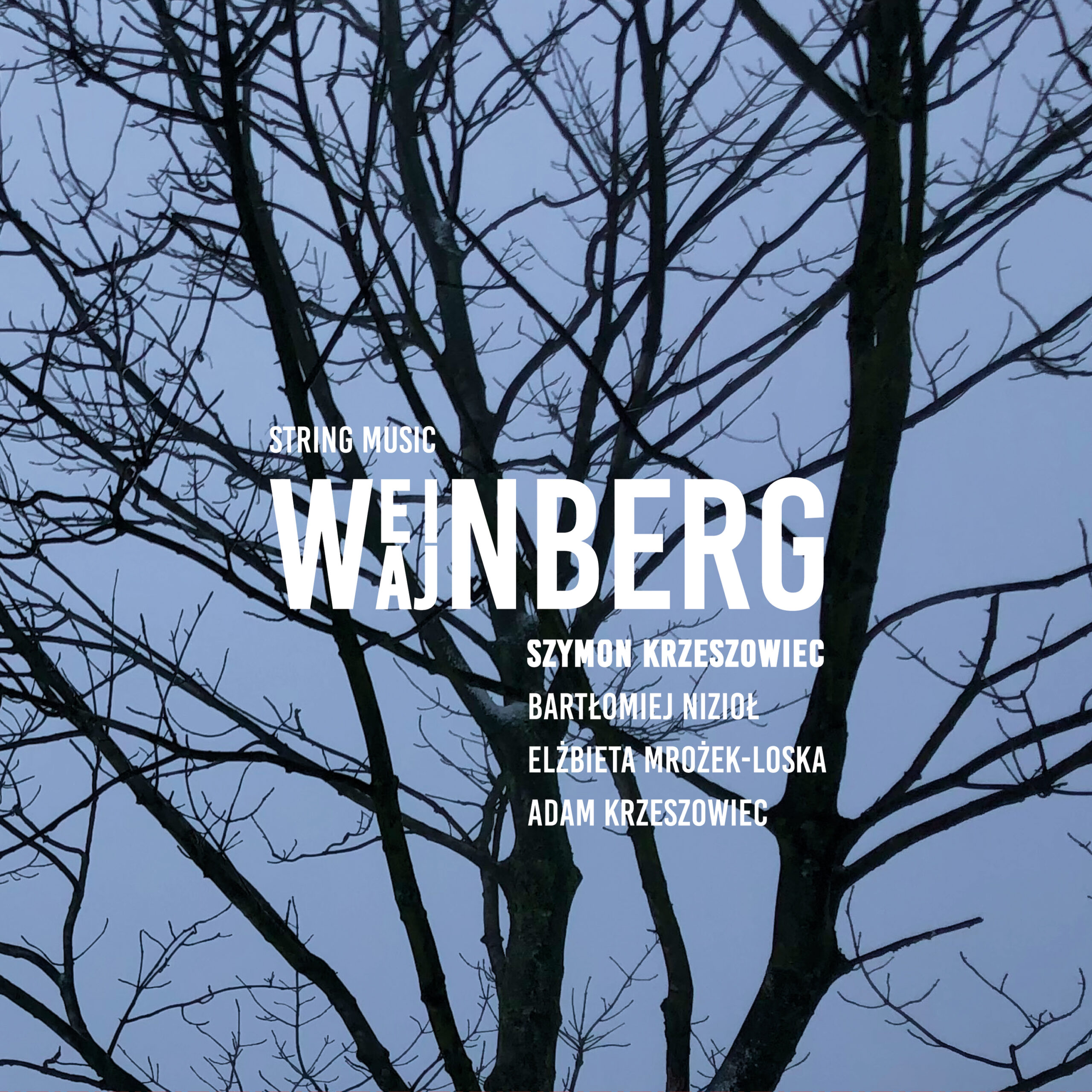 Read more about the article Wajnberg (Weinberg) – String Music